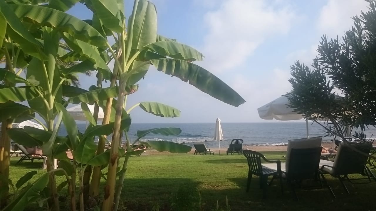 Strand Constantinou Bros Athena Royal Beach Hotel