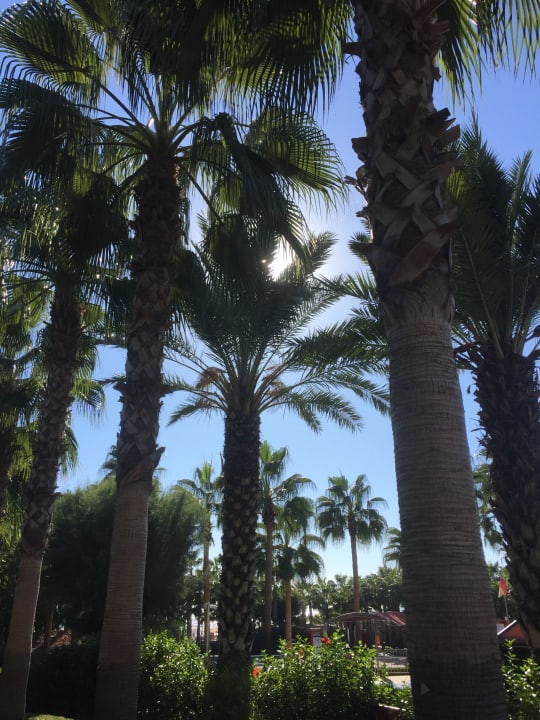 Garten Hotel Miramare Beach