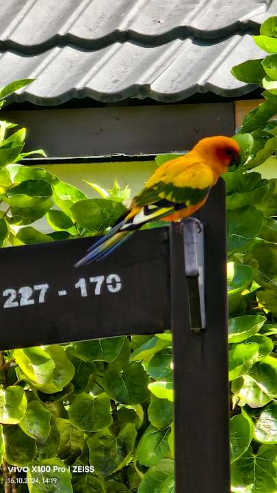 Sonstiges Adaaran Select Hudhuran Fushi - Premium All Inclusive