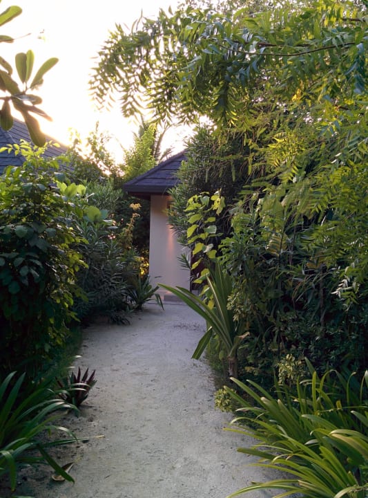Weg zum Zimmer Summer Island Maldives