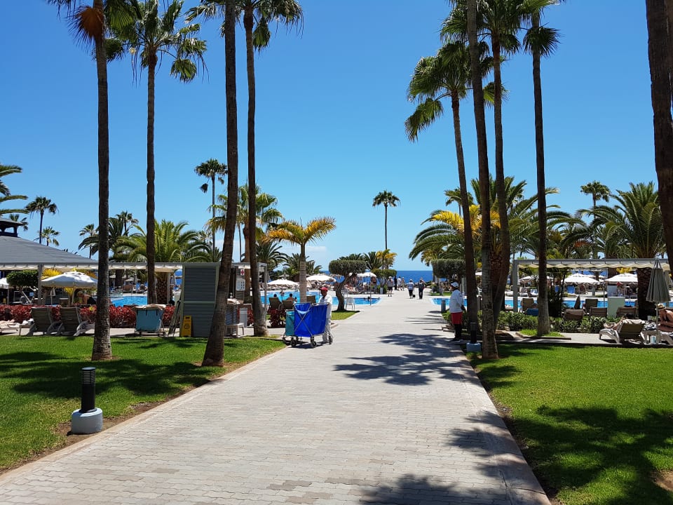 Gartenanlage Hotel Riu Palace Tenerife