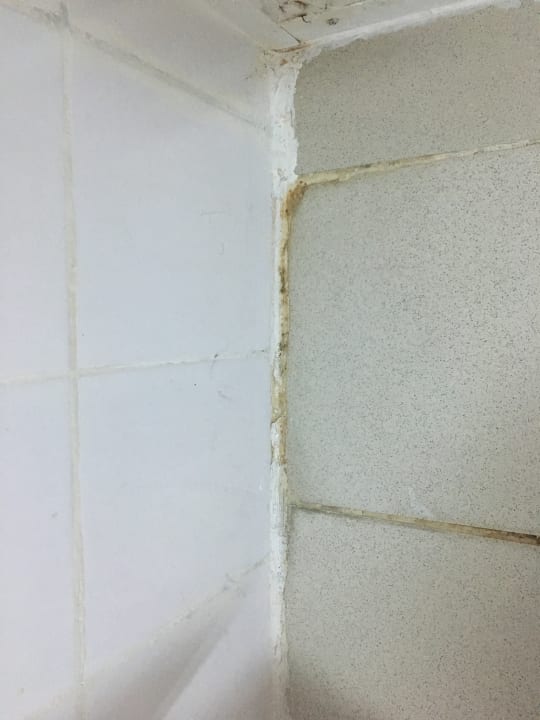 Außenansicht Club Hotel Pineta