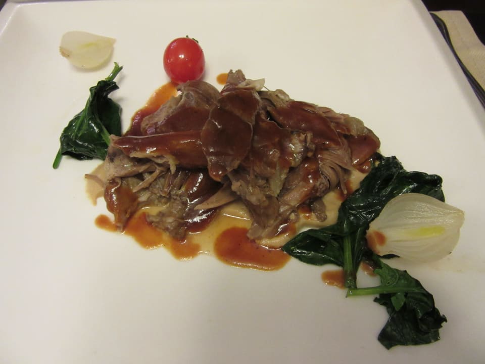 Gastro Lara Barut Collection