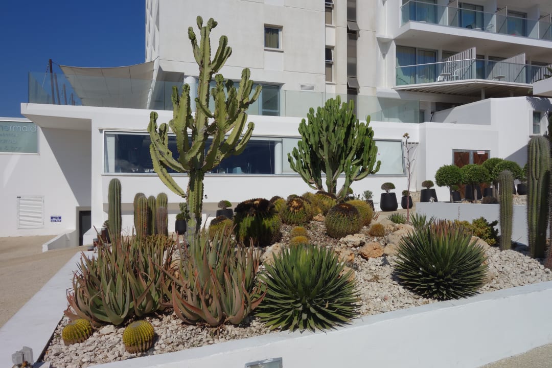 Sonstiges Napa Mermaid Hotel & Suites