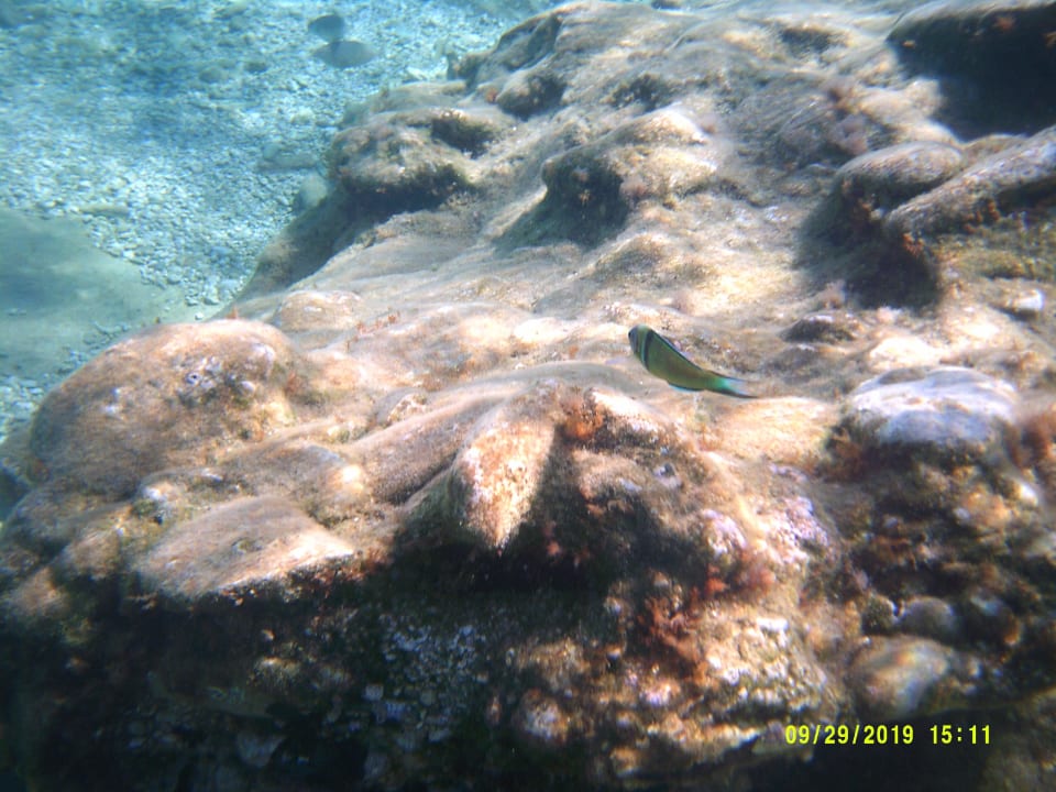 Strand Seaside A Lifestyle Resort