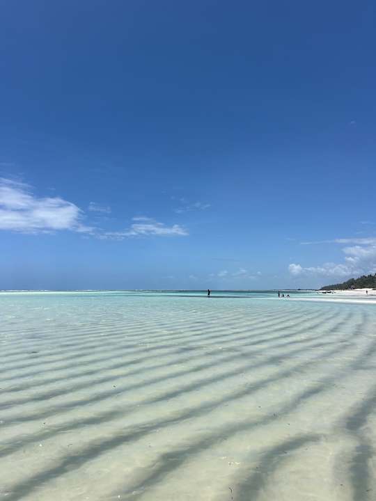 Strand TUI Blue Bahari Zanzibar