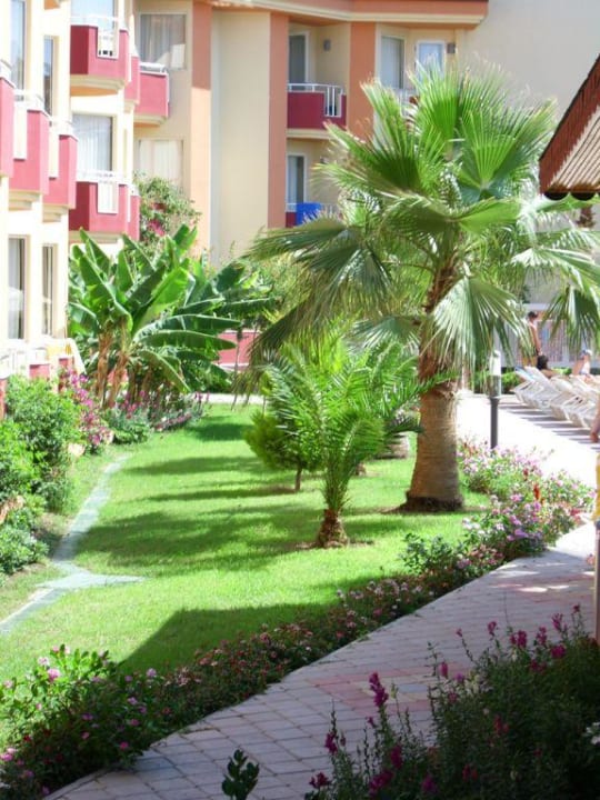 Außenlage Hotel Orfeus Park