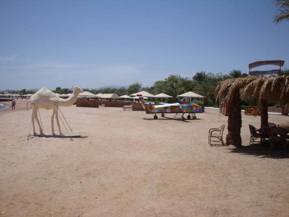 Auch für Kinder geeignet Menaville Safaga