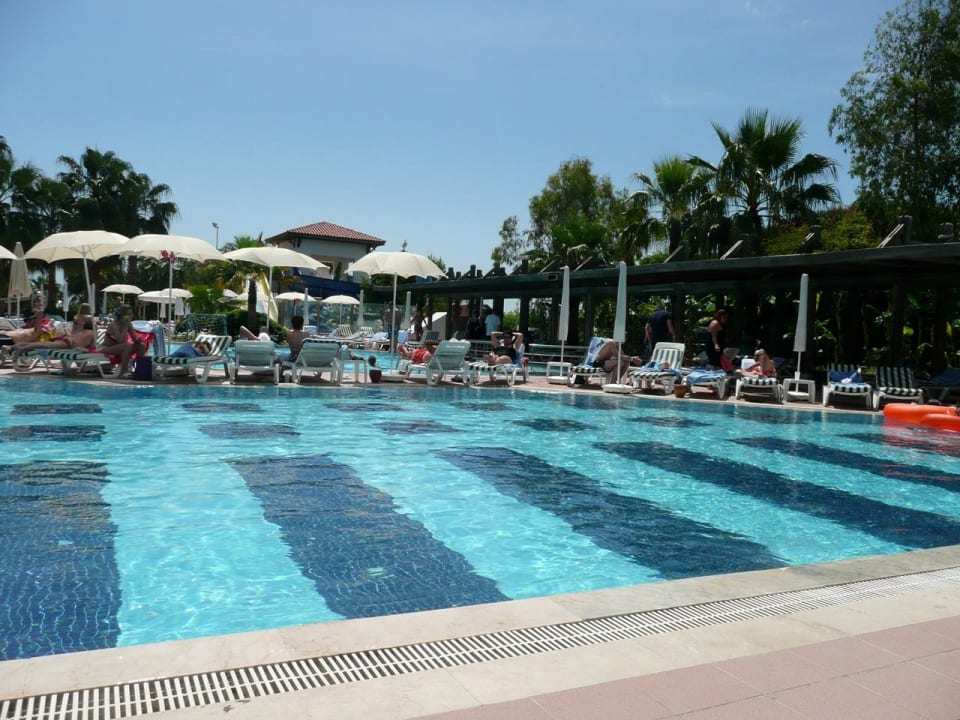 Poolanlage / Liegen schon um 7 Uhr reserviert Trendy Palm Beach (Adults Only, 16+)