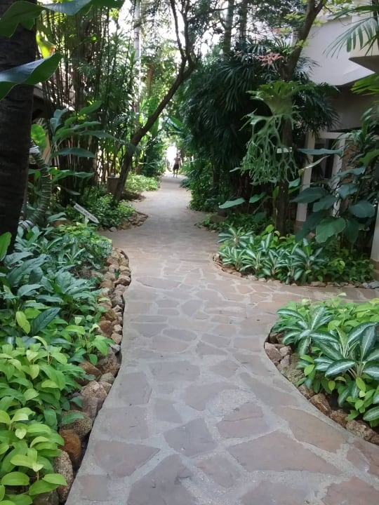 Weg zum Strand Samui Natien Resort