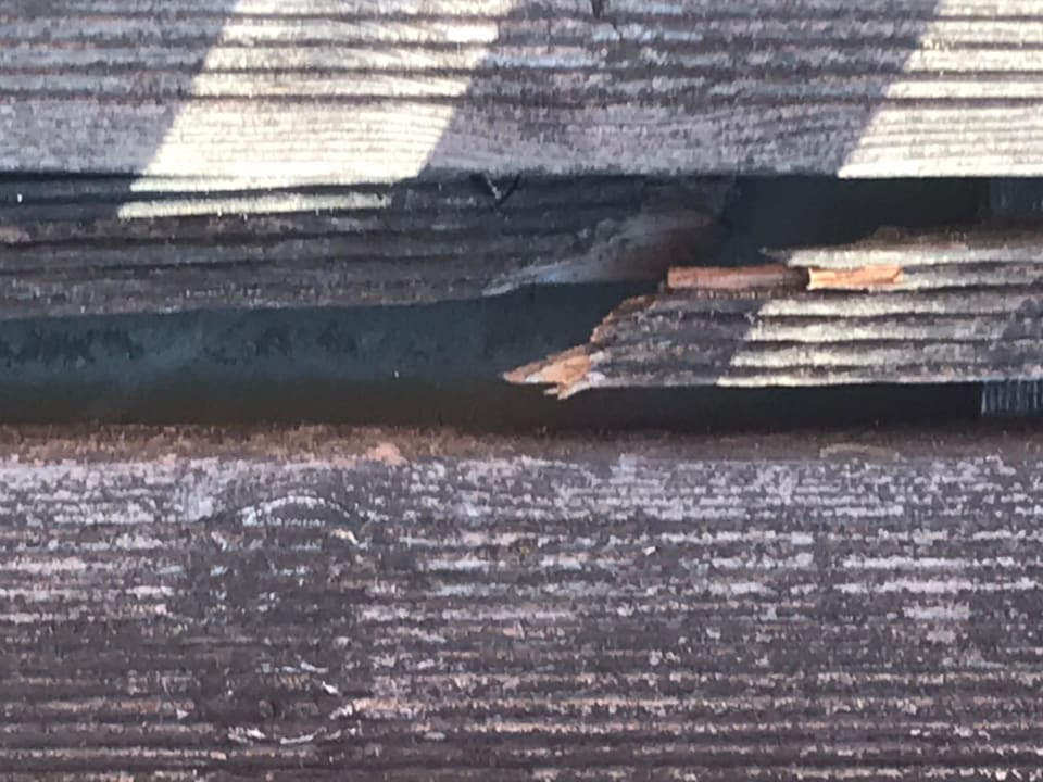 Außenansicht Hotel Elbterassen Wachwitz