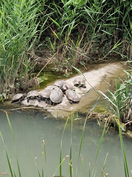 Sonstiges Dream World Palace Hotel