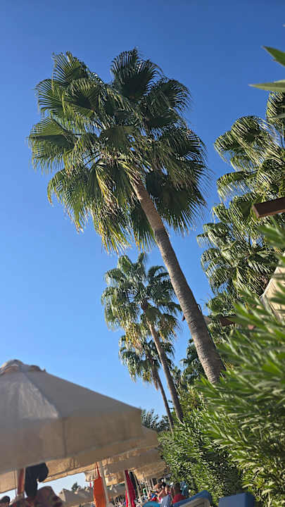 Strand Saphir Resort & Spa