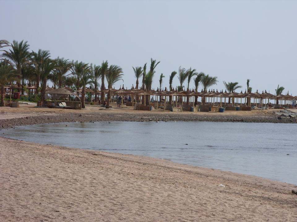 Hotelstrand Pickalbatros Palace Resort