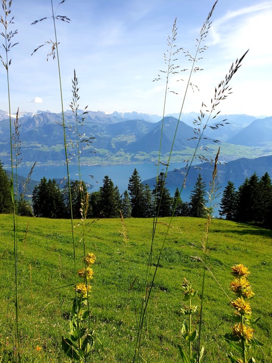 Ausblick Rigi Kaltbad Swiss Quality Hotel