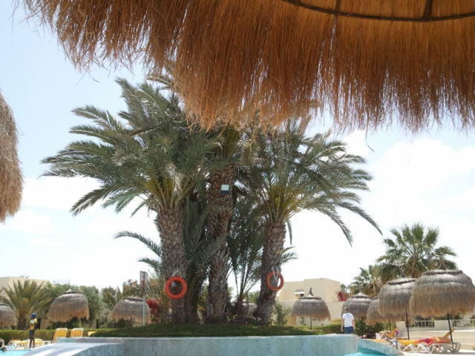 Unter Palmen auch am Pool TUI MAGIC LIFE Penelope Beach