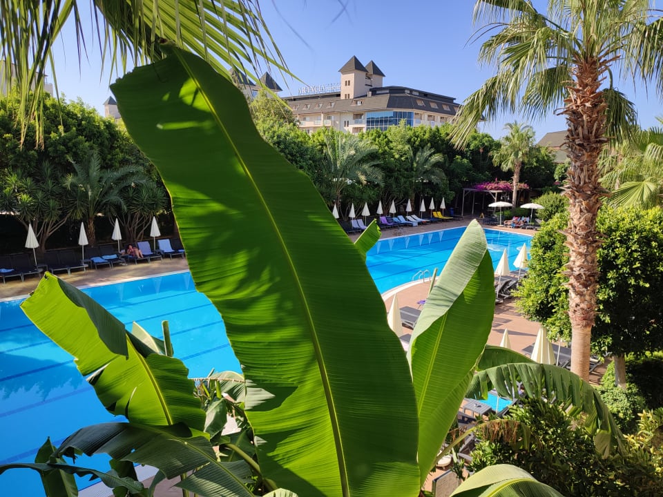 Pool Telatiye Resort