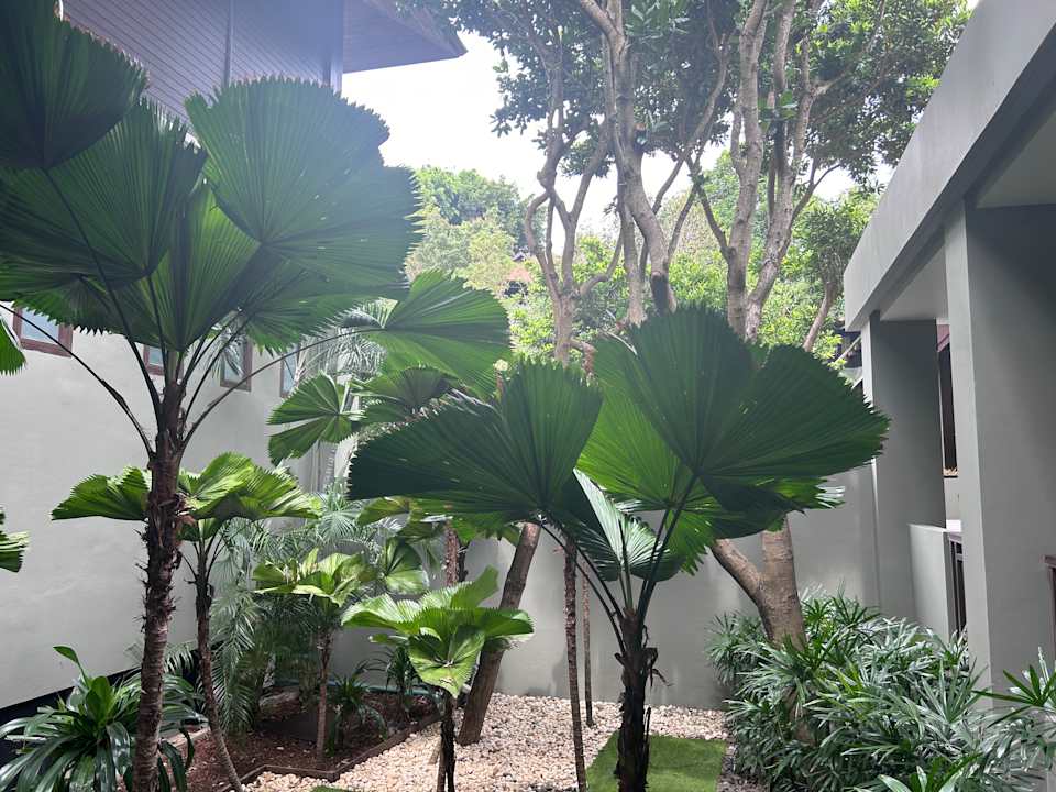 Gartenanlage Pullman Phuket Arcadia Naithon Beach