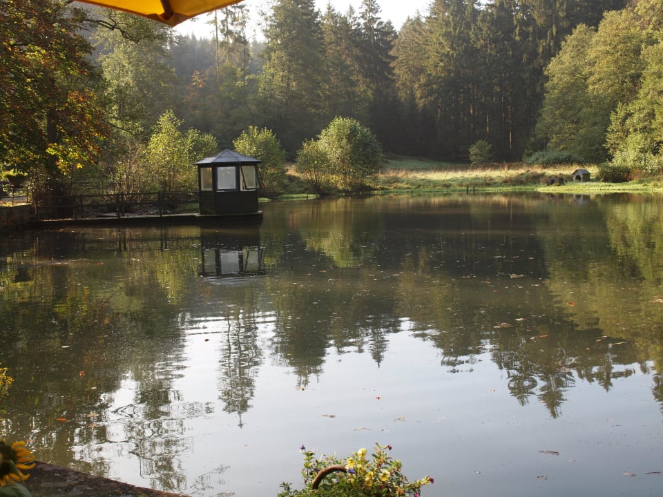 Teich Waldhotel Silbermühle