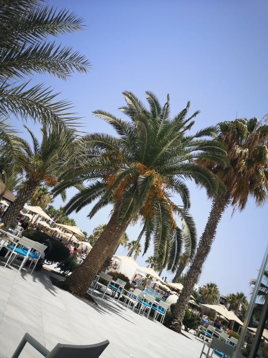 Sonstiges Hotel Marhaba Palace