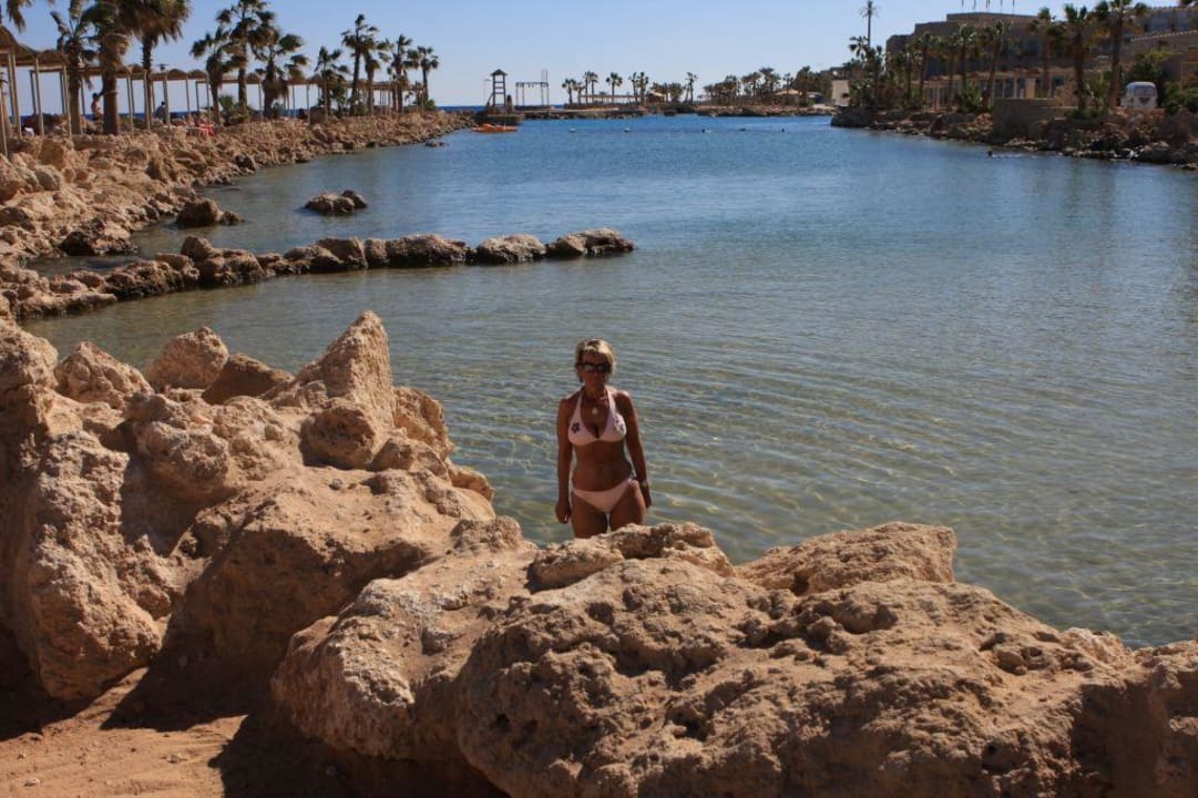 Citadel Azur Meerwasserpool Pickalbatros Citadel Resort