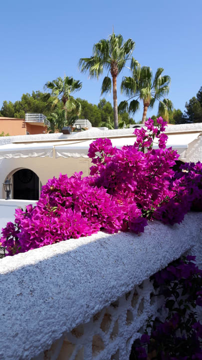 Gartenanlage Villa Columbus Rooms and Restaurant