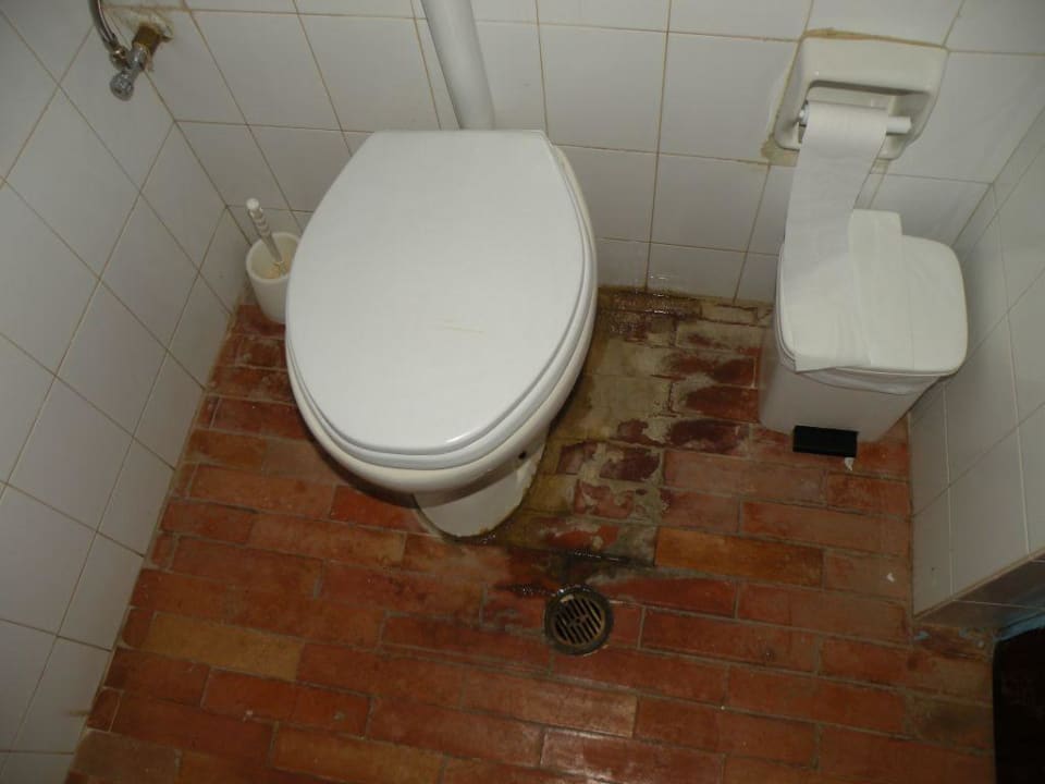 Sauberkeit? Danelis Studios & Apartments