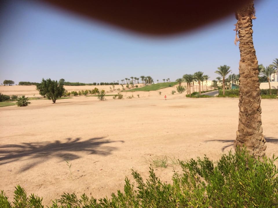 Golfplatz Jaz Makadi Saraya Resort