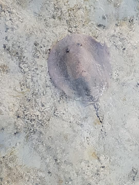 Strand Casa Mare Resort