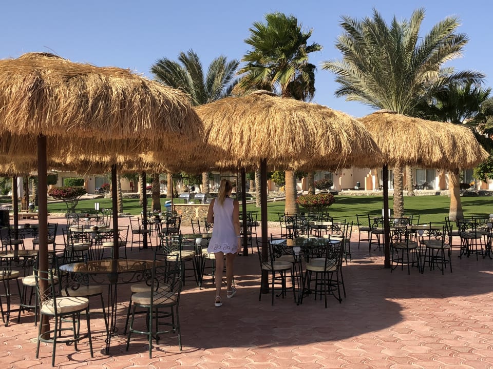 Bar an der Pool  Three Corners Sea Beach Resort