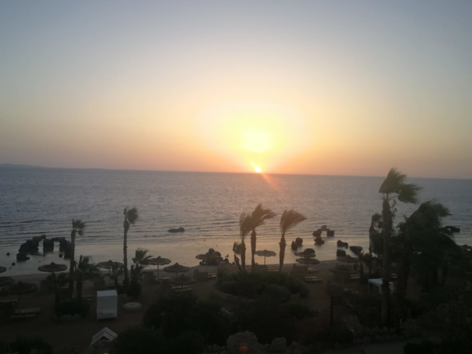 Zimmer Pickalbatros Citadel Resort