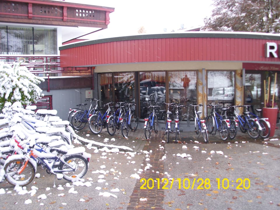 Die Leihfahrräder Hotel Bellevue am See