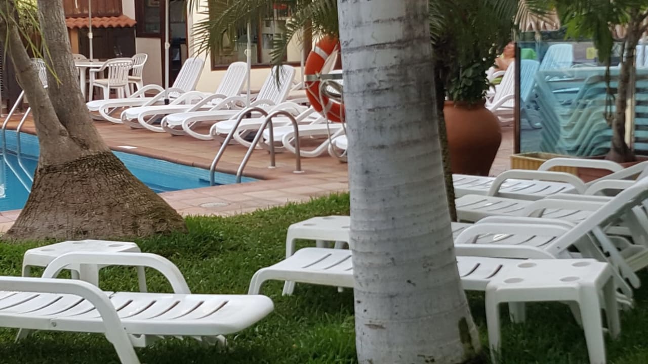 Pool Apartamentos Nogalera