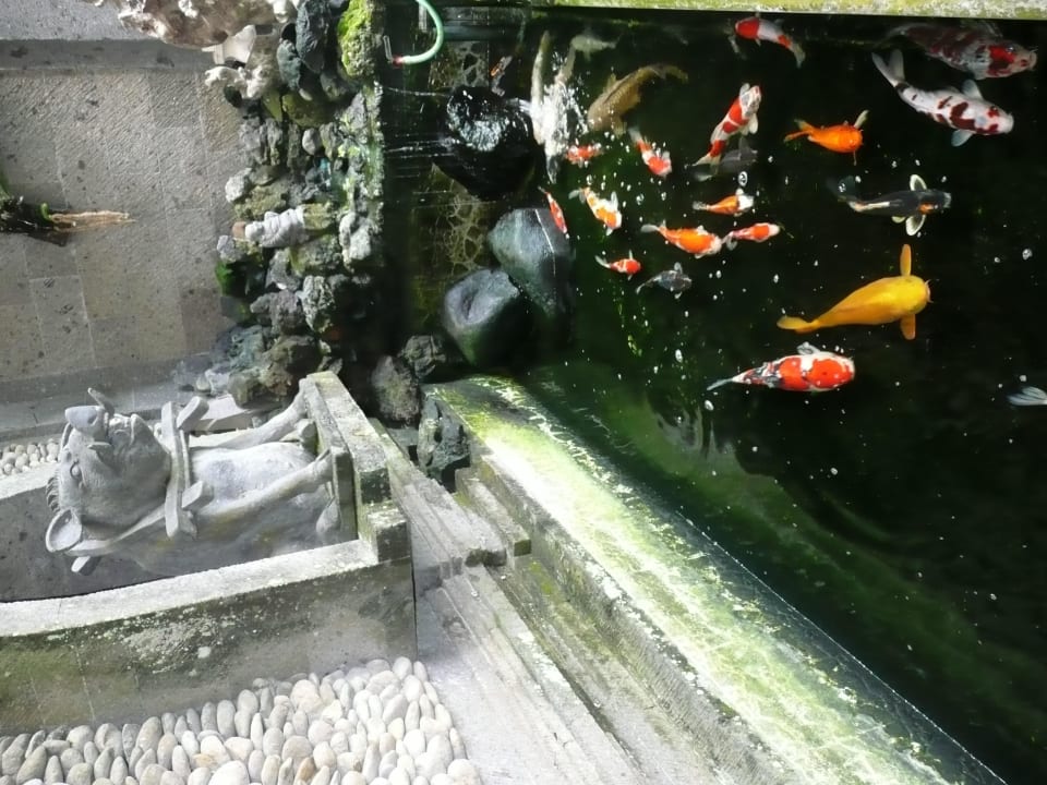 Koiteich Hotel Cendana Resort