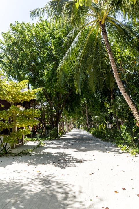 Gartenanlage Sun Siyam Olhuveli