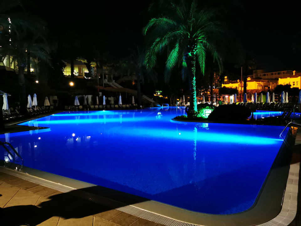 Pool Side Star Elegance