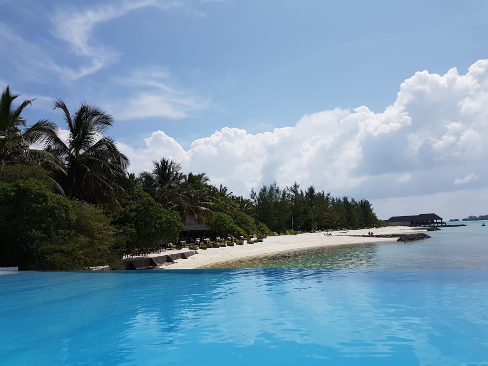 Pool und Bar Summer Island Maldives