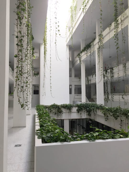 Lobby Bahía 1 Apartamentos Bahia Playa