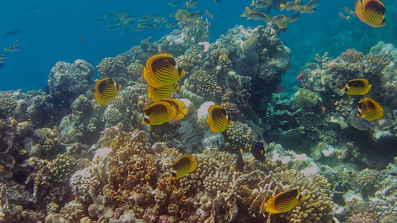 Sport & Freizeit Three Corners Happy Life Beach Resort