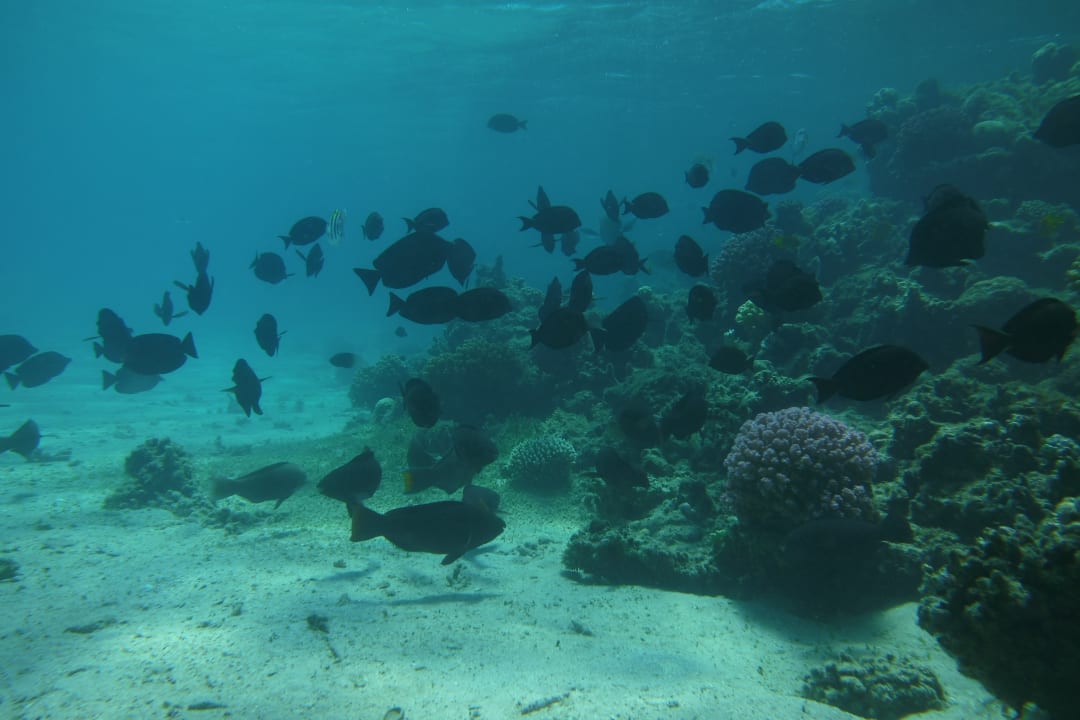 Strand Premier Le Reve Hotel & Spa