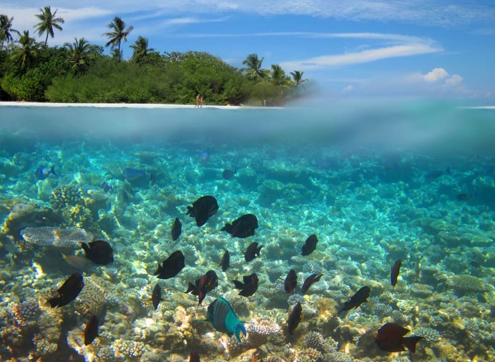 Embudu mal anders Embudu Village