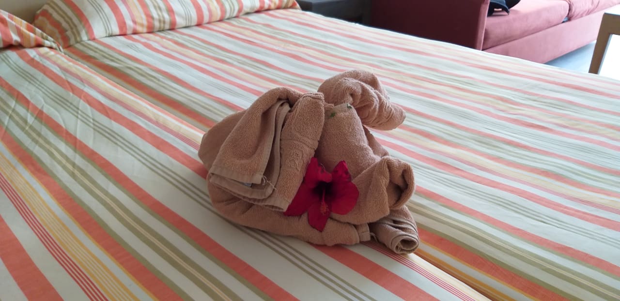 Zimmer SBH Hotel Taro Beach