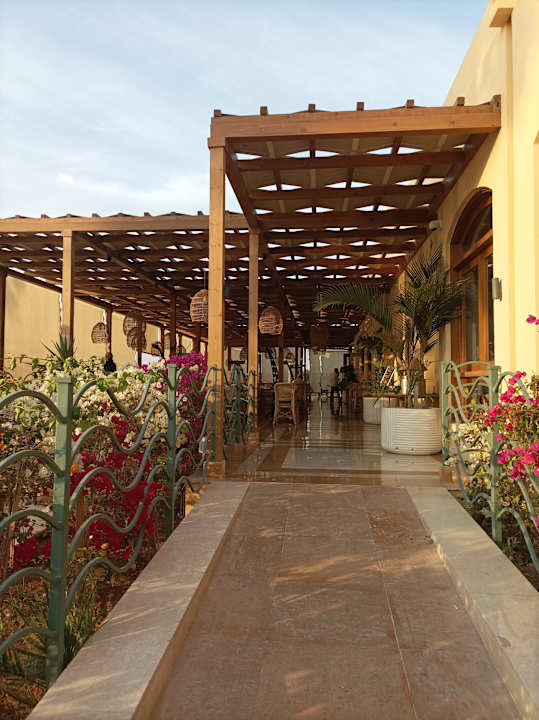 Gastro Steigenberger Golf Resort El Gouna
