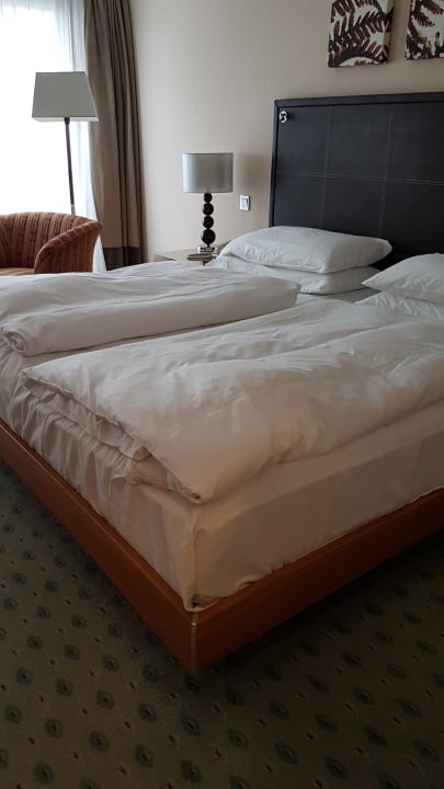 Zimmer Hilton Dresden