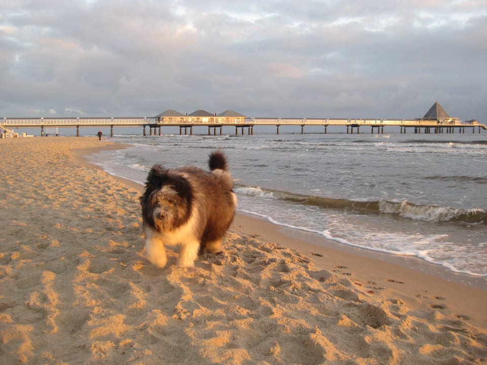 Sonnenaufgang auf dem Weg nach Heringsdorf Das Ahlbeck Hotel & SPA