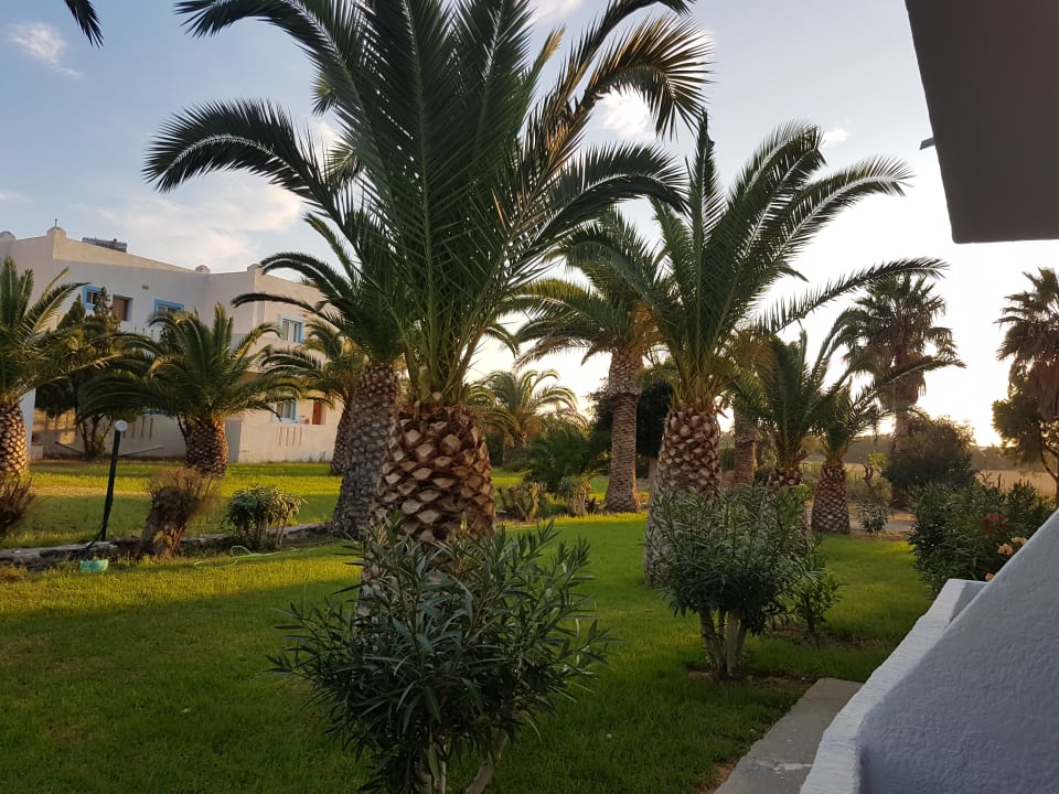 Ausblick Kalimera Mare