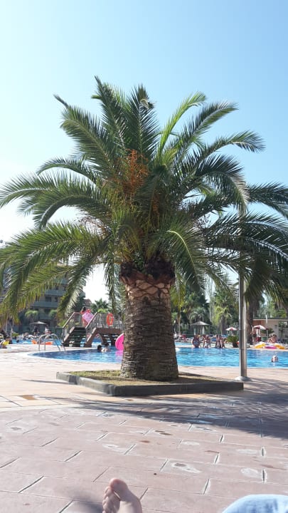 Pool Costa Encantada Resort & Suites