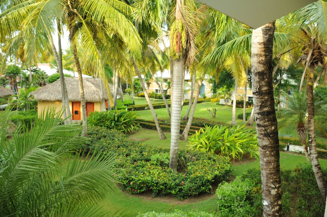 Widok z balkonu Grand Palladium Punta Cana Resort & Spa