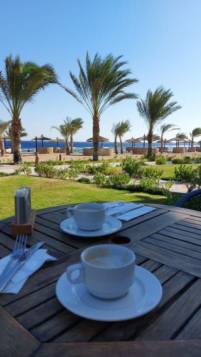 Gastro Coral Sun Beach