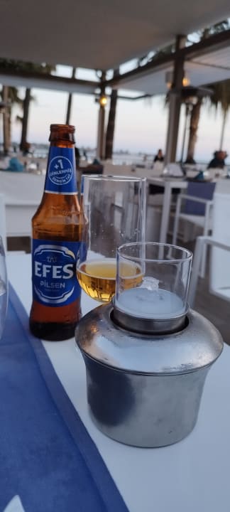 Gastro Acanthus Cennet Barut Collection